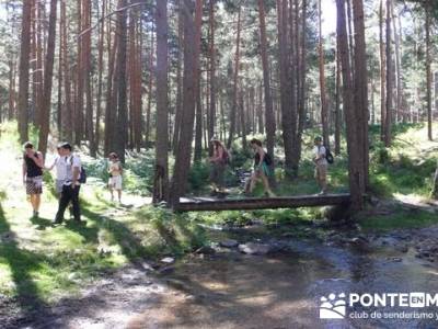 Las Pesquerías Reales - Senderismo Segovia (Ruta de las Pesquerías Reales); ruta sierra de madrid